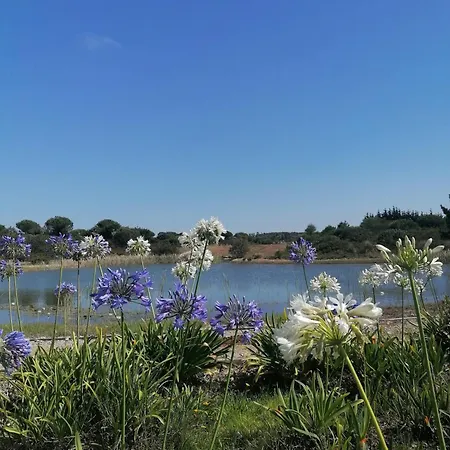 Lakeview Luxury With Pool * Obidos